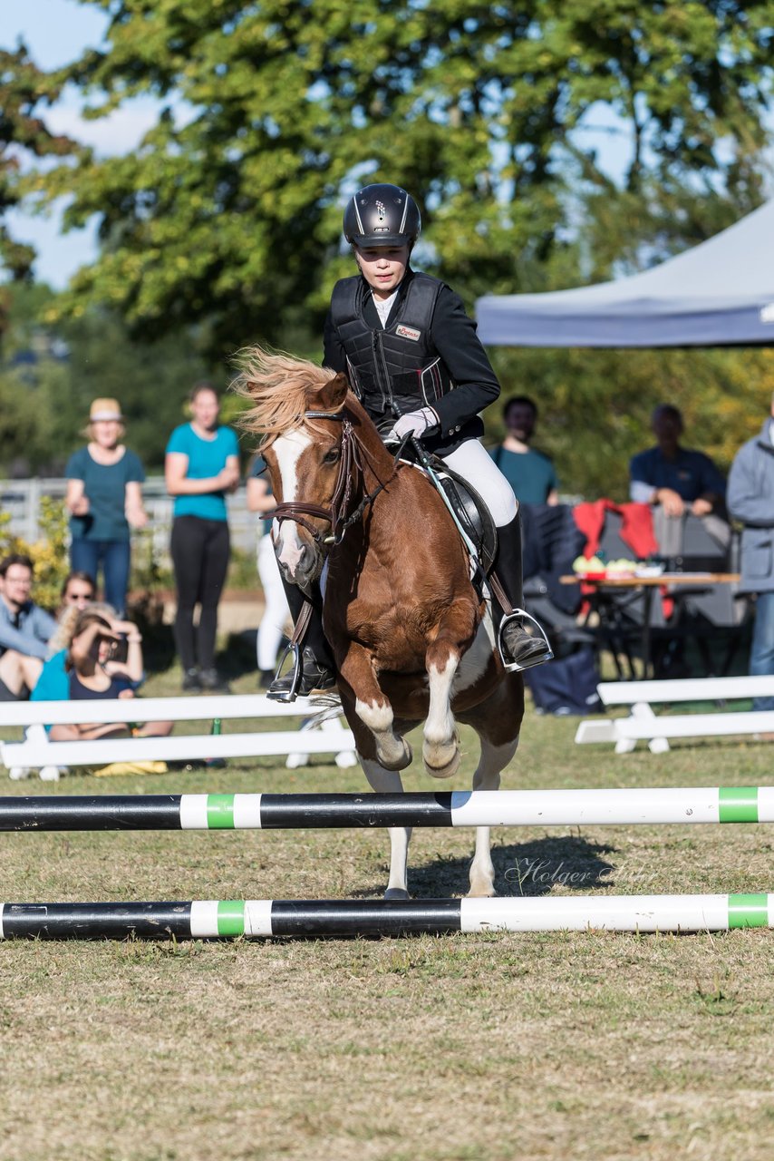 Bild 36 - Pony Akademie Turnier